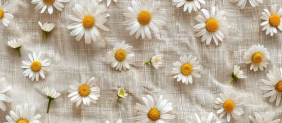 Fabric canvas burlap backdrop scattered with daisies and a white sticker. with copy space image. Place for adding text or design