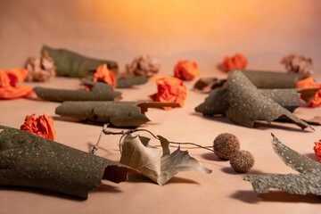 Arrangement with bark Tabletop Fall Autumn Decoration