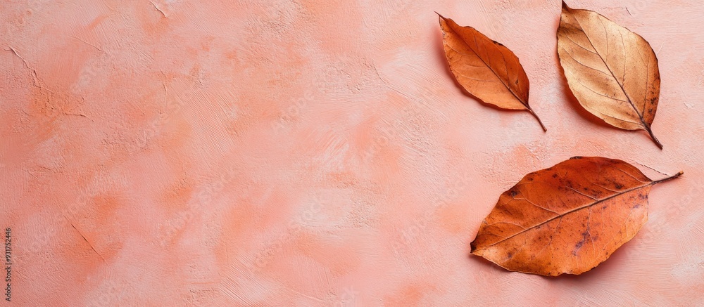 Aufkleber autumn leaves in a dried state on a pastel background flat lay top view copy space