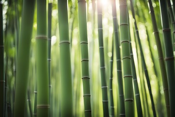 A soft focus bokeh of a dense bamboo forest with sunlight filtering through, Ai Generated