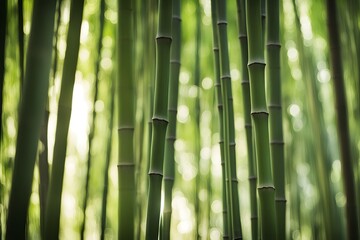 A soft focus bokeh of a dense bamboo forest with sunlight filtering through, Ai Generated