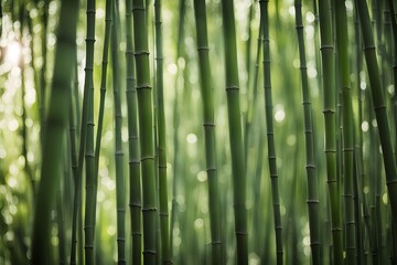 Obraz premium A soft focus bokeh of a dense bamboo forest with sunlight filtering through, Ai Generated