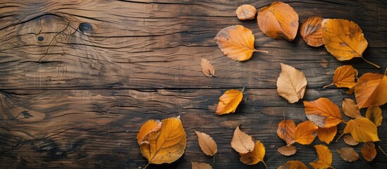 Square autumn background featuring fall leaves a flat lay with copyspace on a wooden surface flat lay