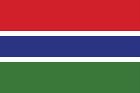 National flag of Gambia. Gambian flag. Vector illustration. 