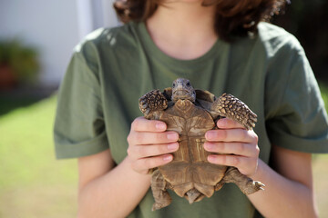 
Boy holding his turtle. Kid with his animal. Household pet. Turtle of the Chelonoidis chilensis family.