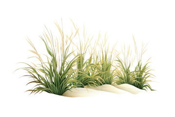 Plant grass tranquility wheatgrass.
