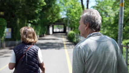 Obraz premium Back view of an elderly couple walking down a tree-lined path, enjoying a sunny day outdoors. contemplative walk in retired old age, setting surrounded by lush greenery and dappled sunlight