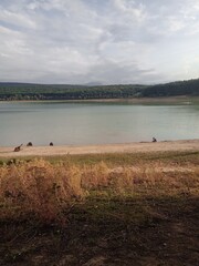 Lac de Montbel, Rives de Léran, Léran, Ariège, Occitanie, France