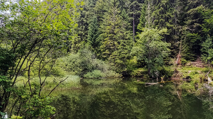 Obraz premium Bikaz Gorge and Lakul Roshu (Red Lake) - Eastern Carpathians - Romania - Europe 