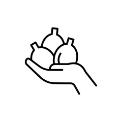 Palm oil outline icons, minimalist vector illustration ,simple transparent graphic element .Isolated on white background