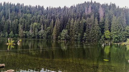 Bikaz Gorge and Lakul Roshu (Red Lake) - Eastern Carpathians - Romania - Europe 