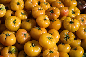 Fresh tomatoes on sale in Paris street market