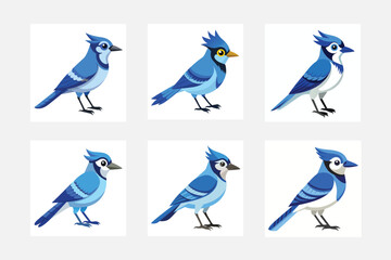 set of blue birds