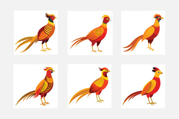 set of birds in different colors