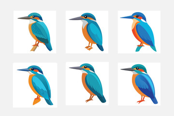 set of birds isolated on white