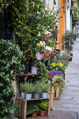 Flower shop on the street in Paris, France