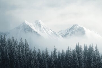 Obraz premium A stunning winter mountain landscape showcasing icy peaks, lush coniferous woods, and a misty atmosphere. Ideal for topics focused on nature, discovery, and outdoor escapades