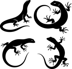 illustration of lizards