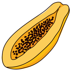 Ripe orange papaya, simple colored drawing, vector
