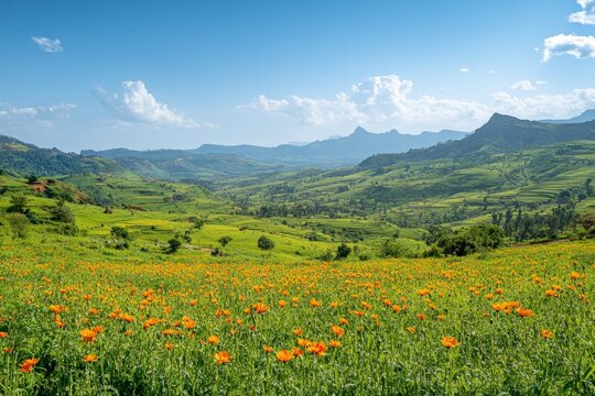 scenic Ethiopian landscape with lush green hills and a blooming Meskel flower field, symbolizing renewal and hope for the new year, with a clear blue sky above