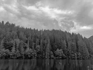 Obraz premium Bikaz Gorge and Lakul Roshu (Red Lake) - Eastern Carpathians - Romania - Europe 