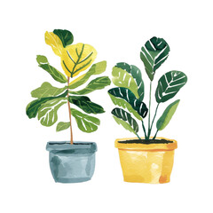 Two Vibrant Potted Plants With Green and Yellow Leaves on Isolated Background