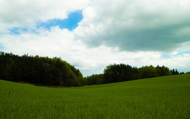 Green fields in Kashubia region - Northern Poland.