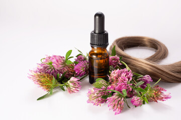 Clover flowers, essential oil and hair. Hair treatment concept. Close up. Copy space