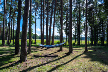 A hammock in the woods in summer. Photo taken at Hiiumaa island, Estonia