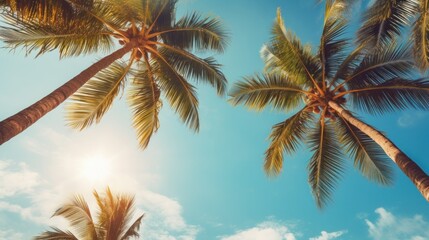 Blue sky and palm trees seen from below. Summer. Travel idea.