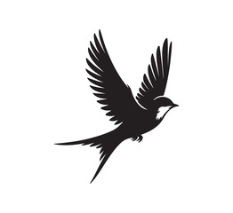 eagle silhouette isolated on white