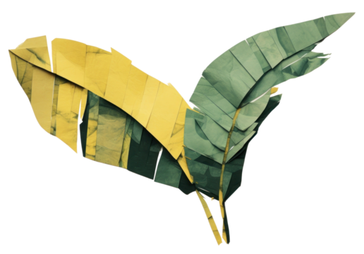 PNG Banana leaf art plant transportation.