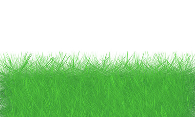 Green grass background with space for text or image. Vector illustration.
