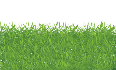 Green grass frame on white background. Vector illustration. Eps 10.
