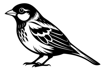 Sparrow silhouette vector illustration