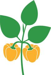 Bell Pepper logo. Isolated Bell Pepper  on white background. Paprika