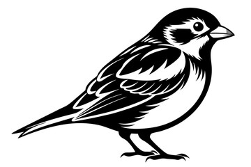 Sparrow silhouette vector illustration