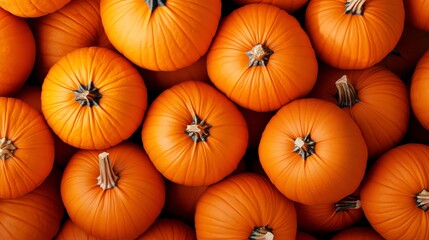 A colorful assortment of pumpkins on a farm and market, capturing the essence of autumn harvest and Halloween season