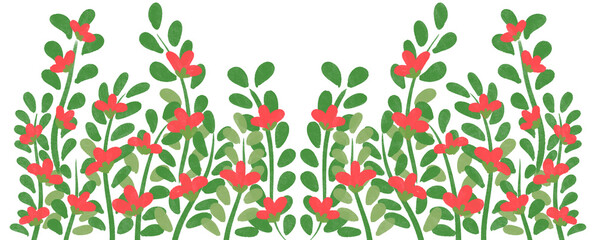 red flowers border