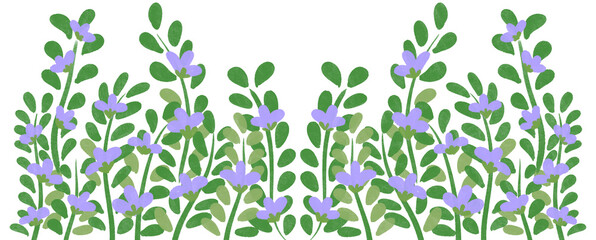 purple flowers border