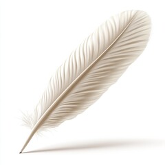 Fototapeta premium A feather is shown on a white background with no other objects, AI