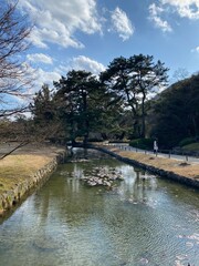Naklejka premium Garden