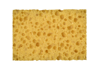 Close up yellow natural sponge texture isolated. Abstract porous background.	
