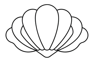 Beautiful Seashells line art vector illustration