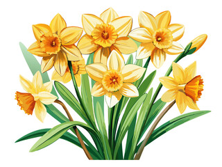 daffodil illustration, daffodil flower vector art, daffodil flower illustration, daffodil vector, 