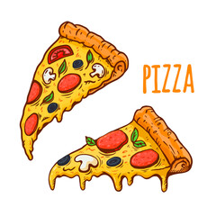 illustration of a pizza isolated on white background. pizza slice with salami,mushrooms, basil leaf and melted cheese for pizzeria package and menu designs. Flat illustration.