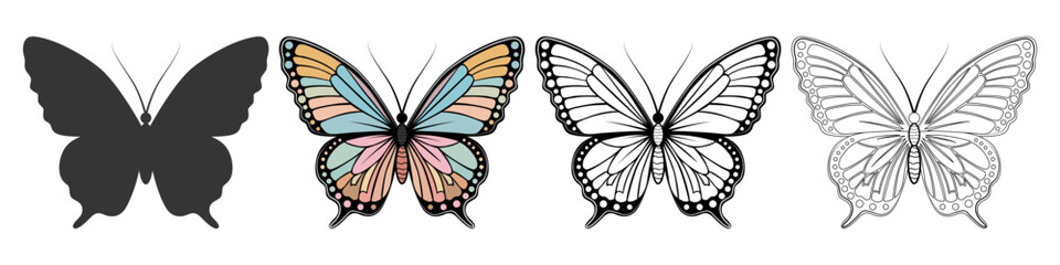 A set of butterflies, with a detailed and colorful image of one individual.
