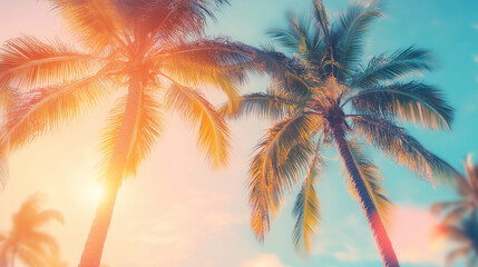 Coconut palm trees on blue sky background. Vintage toned