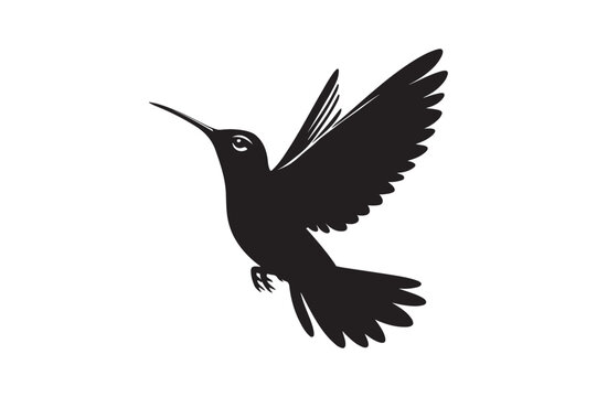 recommend clip art: Hummingbird silhouette vector illustration