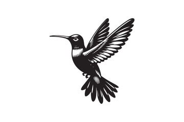 Hummingbird silhouette vector illustration